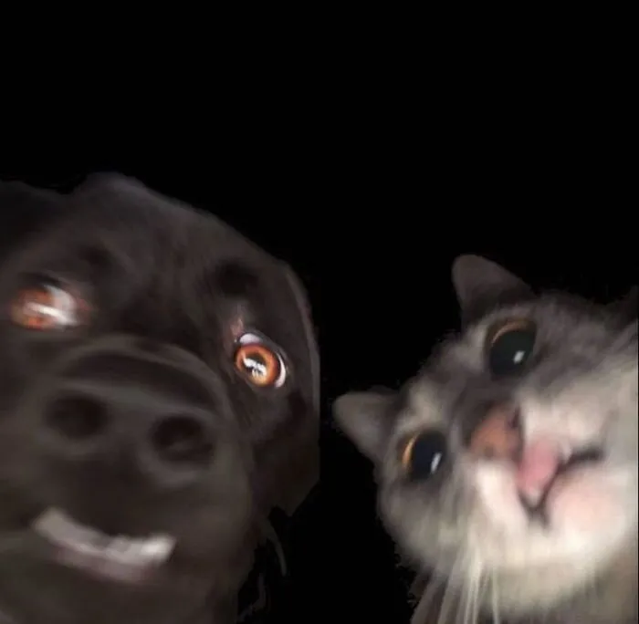 “Disturbing Zone”: 50 Pics From This Instagram Page That’s Dedicated To Sharing Weird Things