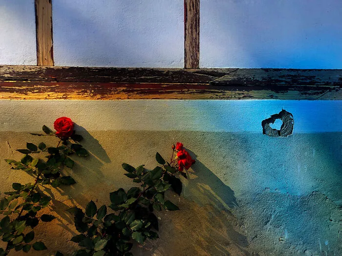 The Poetry Of The Ordinary: My 10 Photos Of Everyday Beauty