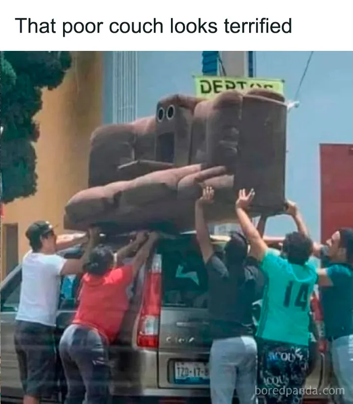 ‘The Daily Laughs’: 50 Ridiculously Good Memes To Improve Your Day