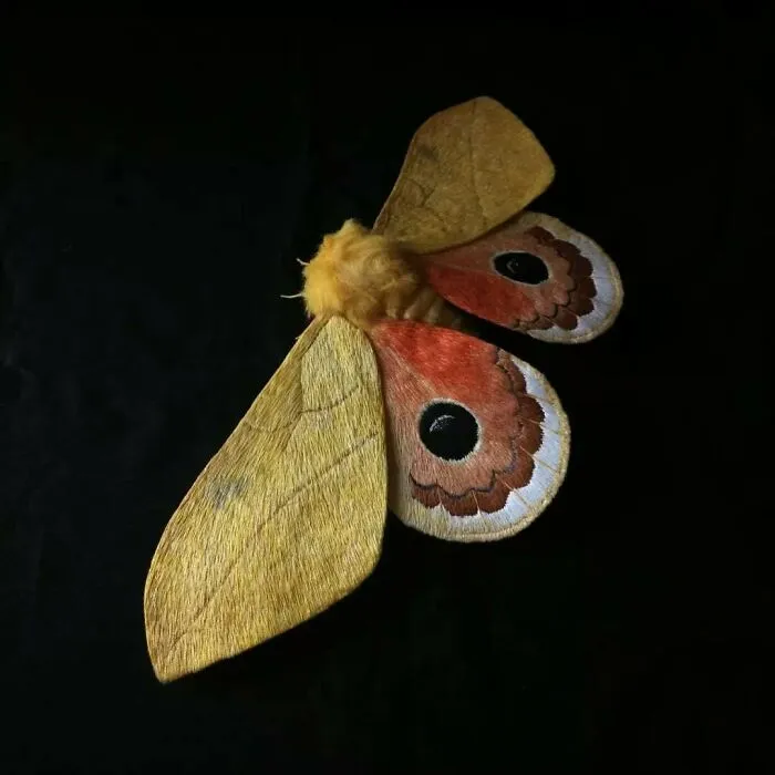 43 Incredible Hand-Sized Moths And Butterflies Made Out Of Fibers By Yumi Okita