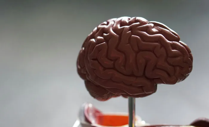 20 Expertos en autopsias revelan sus hallazgos más extraños y singulares