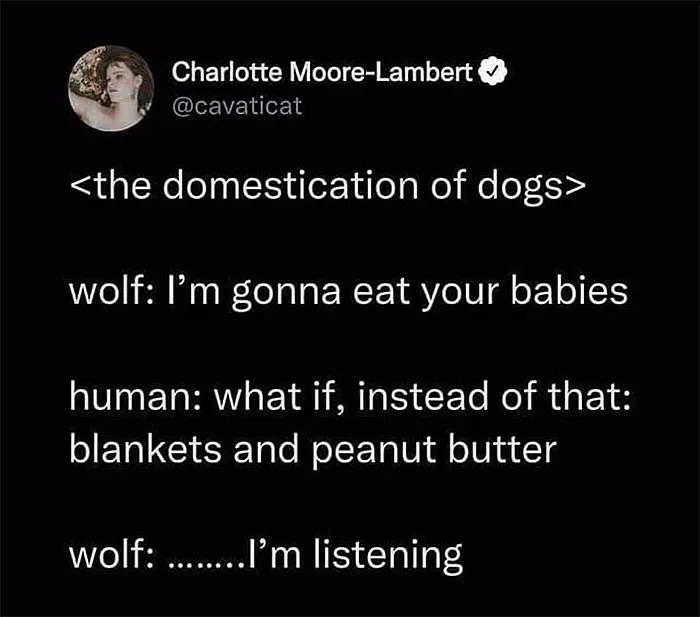 I’m Listening…