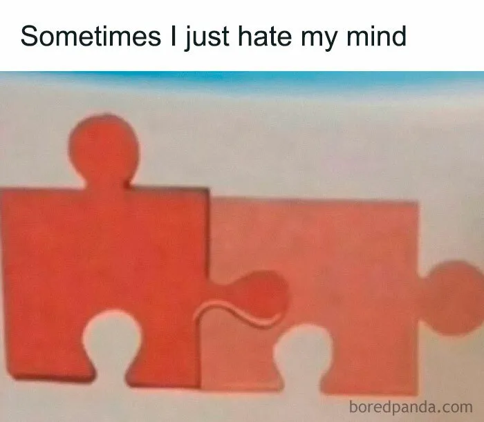 Puzzle pieces labeled sarcasm with text sometimes I just hate my mind, a hilarious meme from a Facebook meme page.