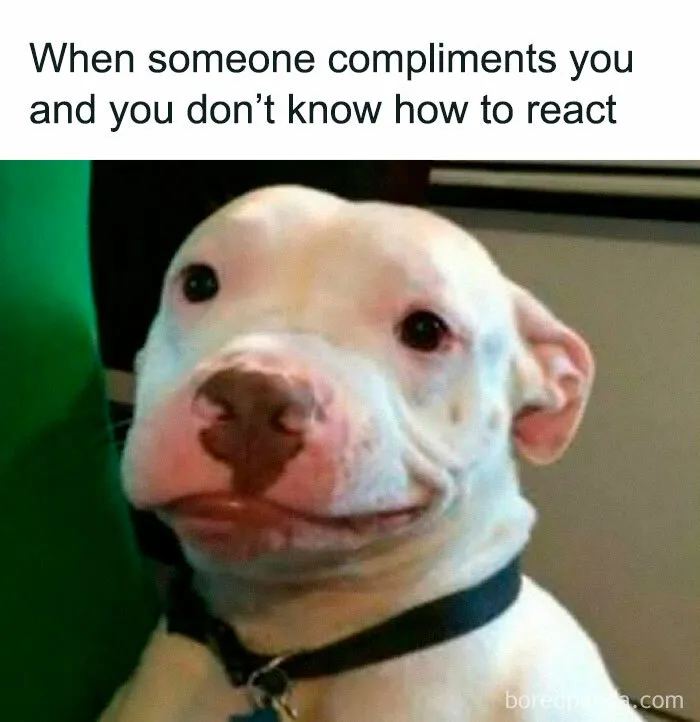 Need A Laugh? These 50 Memes Might Just Do The Trick (New Pics)