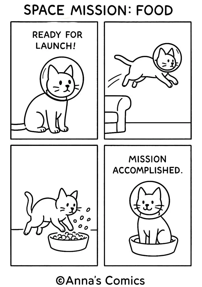 Space Mission