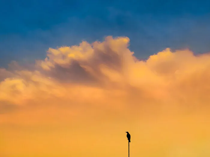 The Poetry Of The Ordinary: My 10 Photos Of Everyday Beauty