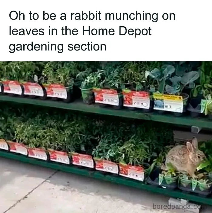 ‘The Daily Laughs’: 50 Ridiculously Good Memes To Improve Your Day