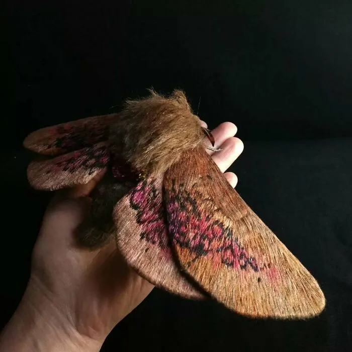 43 Incredible Hand-Sized Moths And Butterflies Made Out Of Fibers By Yumi Okita