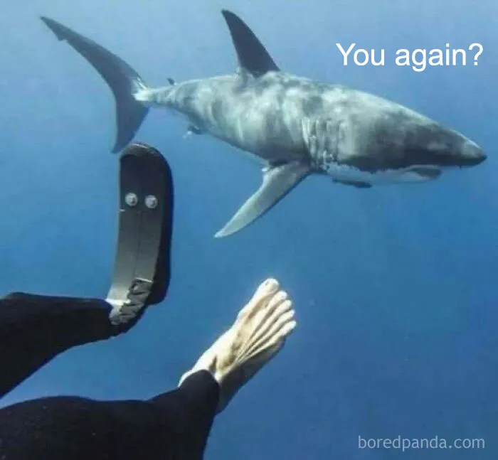 Over 500K People Like Scrolling This Meme Page And These Are 50 Of The Best Memes They Shared (New Pics)