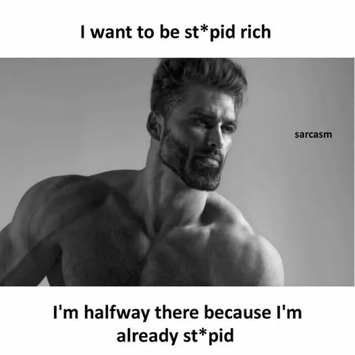 Amusing-Sarcasm-Memes