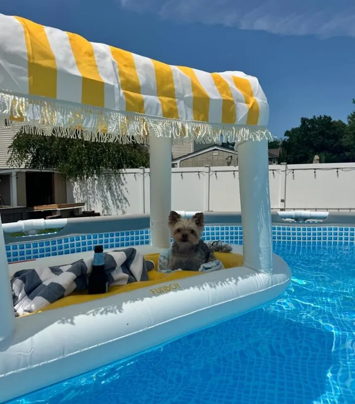 Establish Dominance Over The Entire Pool Surface Area By Claiming Your Own Personal Island, Also Known As This Awesome <a Style="Display:inline;" Href="Https://Www.amazon.com/Floating-Removable-Table-Top-Decorations-Refreshments/Dp/B0cv73d1xf?ie=utf8&th=1&linkcode=ll1&tag=bpscorpion-20&linkid=e43f63c5b9d0f9e3529db7aa2145233d&language=en_us&ref_=as_li_ss_tl" Target="_blank"><span Style="Font: Inherit; Color: #d74b1f;"> Floating Cabana </Span>