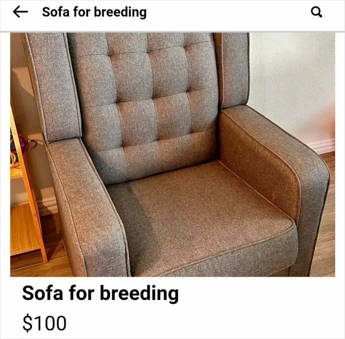 50 Unhinged Pics From Facebook Marketplace That Require A Double Take To Understand (New Pics)