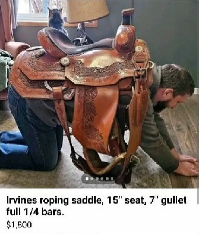 50 Unhinged Pics From Facebook Marketplace That Require A Double Take To Understand (New Pics)