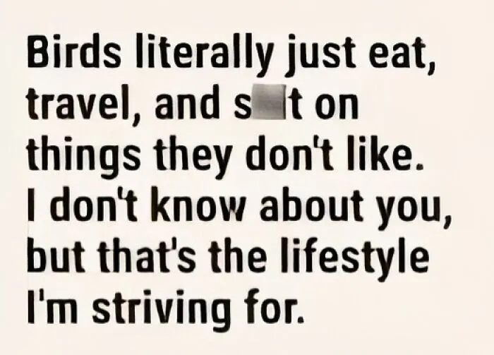 Funny meme text about birds eating, traveling, and marking what they dislike, ideal for daily laughs and meme enjoyment.