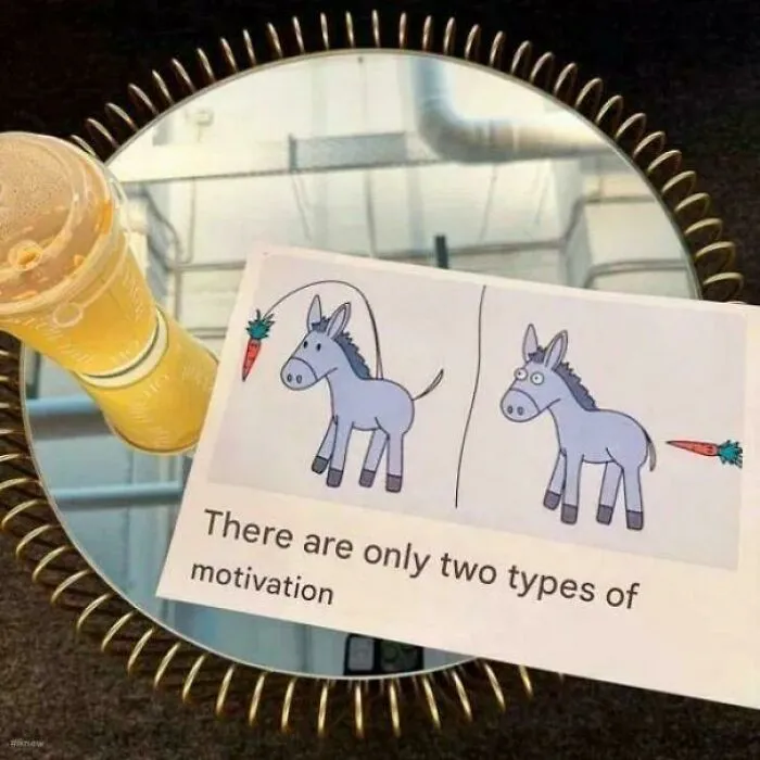 Imagen bendecida y maldita con dibujo de burro y zanahoria como metáfora de motivación frente a vaso con bebida.