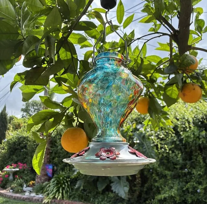 Turn Your Backyard Into A Tiny, Buzzing Airport For Adorable Feathered Friends With This Delightful <a Style="Display:inline;" Href="Https://Www.amazon.com/Bolite-Hummingbird-Feeders-Outdoors-Hanging/Dp/B0bkzz46bw?ie=utf8&th=1&linkcode=ll1&tag=bpseahorse-20&linkid=68d03faaf69a238100bcdee65982b752&language=en_us&ref_=as_li_ss_tl" Target="_blank"><span Style="Font: Inherit; Color: #d74b1f;"> Hummingbird Feeder </Span>