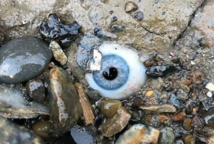 Guy Found A Glass Eye Embedded In A Rock At The Beach