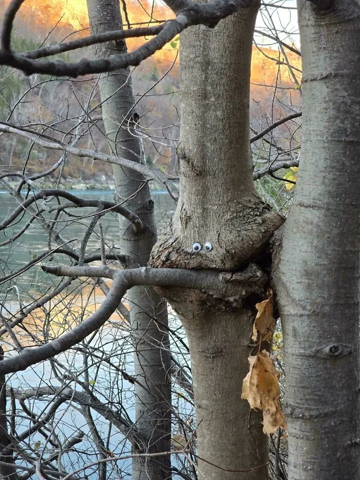Found While Hiking