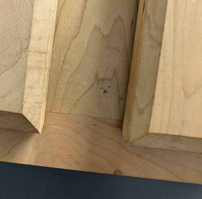This Cat In The Bathroom Of A Vet Clinic