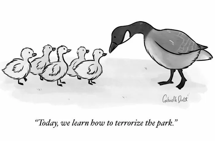 Funny And Honest Comics About Life’s Little Moments By Gabrielle Drolet (48 Pics)