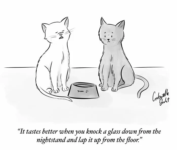 Funny And Honest Comics About Life’s Little Moments By Gabrielle Drolet (48 Pics)