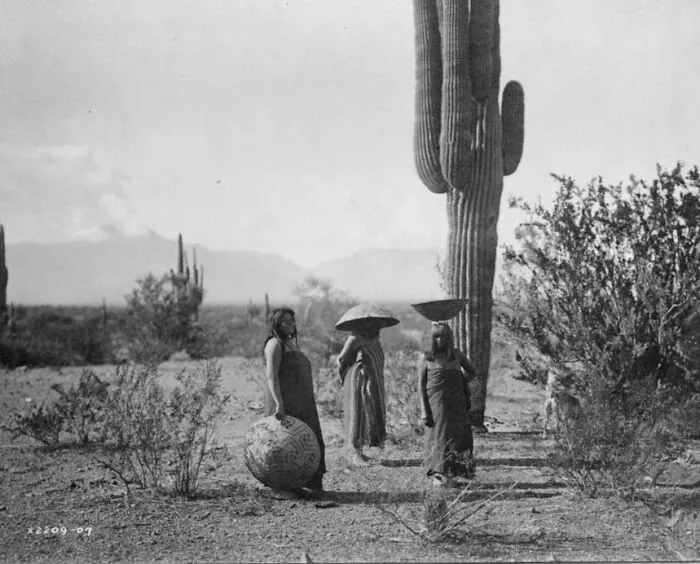 Saguaro Fruit Gatherers