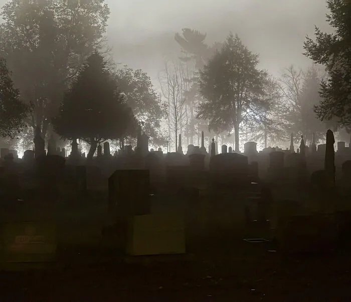 This Ghostly Backdrop Of The Cemetery I Live Next To