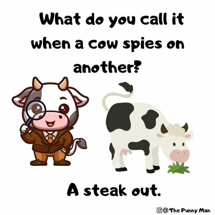 This Artist Created 44 Funny Comics Based On Puns, And They’re So Bad They’re Good