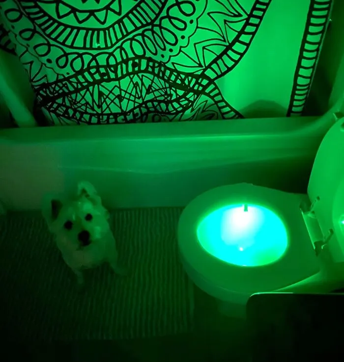 Navigating Your Bathroom In The Dark Is About To Feel Less Like A Ninja Warrior Course And More Like A Gently Illuminated Path To Relief, Thanks To This <a Style="Display:inline;" Href="Https://Www.amazon.com/Original-Bathroom-Activated-Lighting-Christmas/Dp/B01htu9tly?ie=utf8&th=1&linkcode=ll1&tag=bpalpaca-20&linkid=e1a2b0f843e34090661df1f457b5889b&language=en_us&ref_=as_li_ss_tl" Target="_blank"><span Style="Font: Inherit; Color: #d74b1f;"> Toilet Bowl Nightlight </Span>