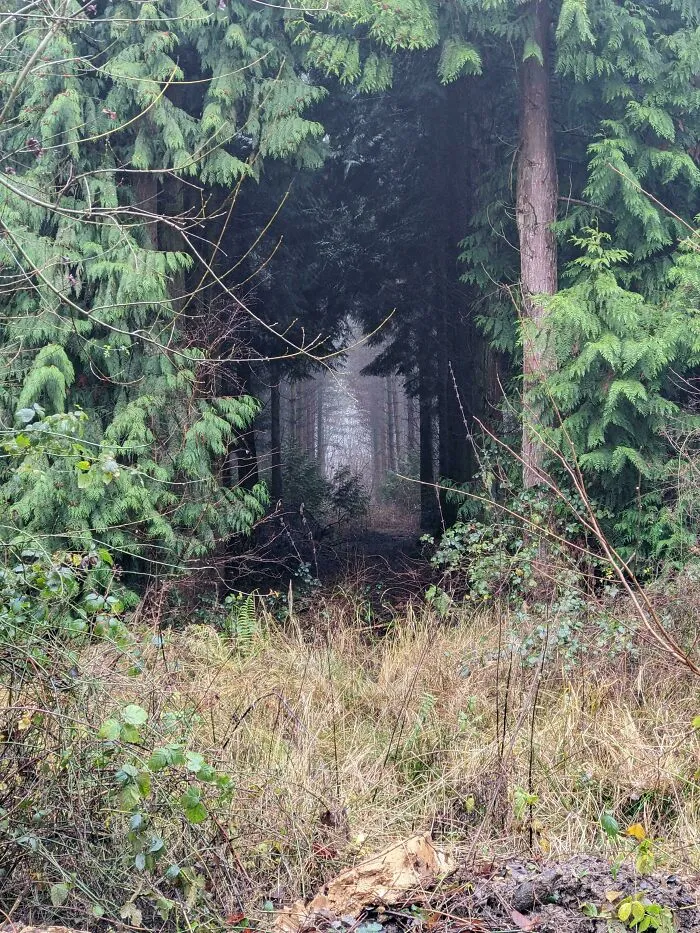 Found A Portal To Elsewhere