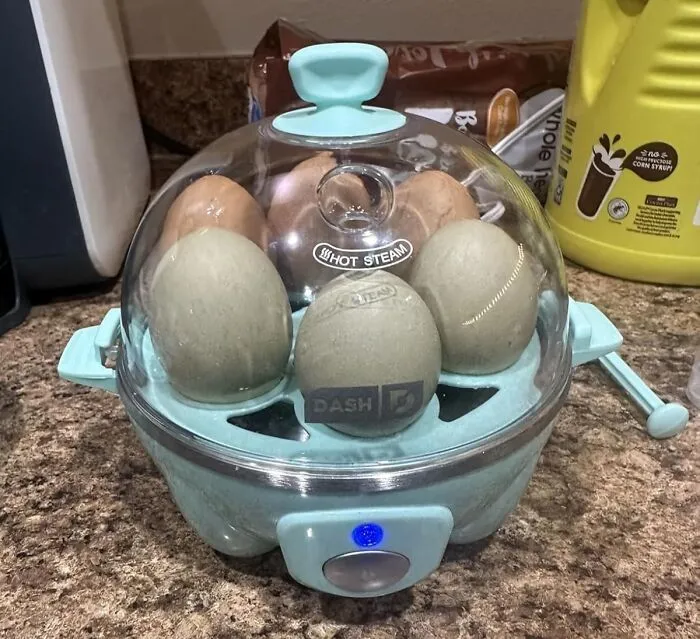 Overcooked Eggs? We Don't Know Her Thanks To The Foolproof Abilities Of A <a Style="Display:inline;" Href="Https://Www.amazon.com/Dash-Rapid-Egg-Cooker-Scrambled/Dp/B0168cnyd8?ie=utf8&th=1&linkcode=ll1&tag=bpgoldfish-20&linkid=eb1046618fade391223486c241c50daa&language=en_us&ref_=as_li_ss_tl" Target="_blank"><span Style="Font: Inherit; Color: #d74b1f;"> Rapid Egg Cooker </Span>