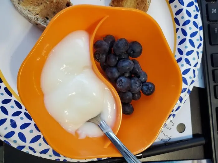 Orange divided bowl with yogurt and blueberries, part of a healthy breakfast to hack your way into becoming a morning person.