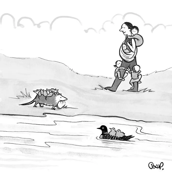 30 Humorous One-Panel Comics By Rose Anne Prevec That Capture Life Through Animal Antics