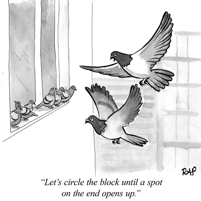 30 Humorous One-Panel Comics By Rose Anne Prevec That Capture Life Through Animal Antics