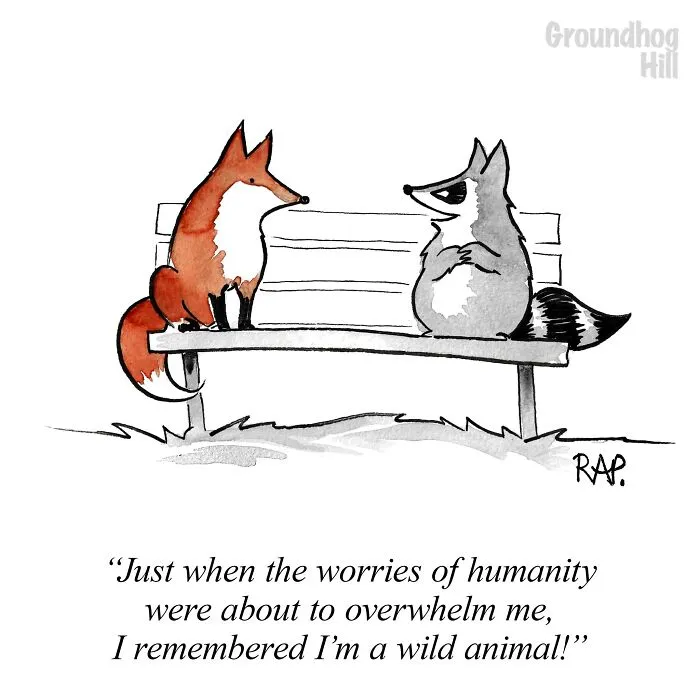 30 Humorous One-Panel Comics By Rose Anne Prevec That Capture Life Through Animal Antics