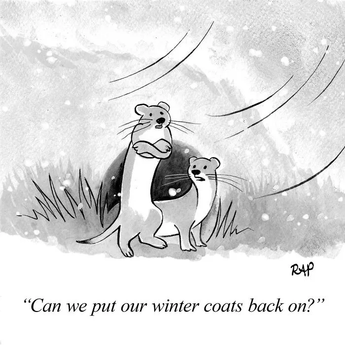 30 Humorous One-Panel Comics By Rose Anne Prevec That Capture Life Through Animal Antics