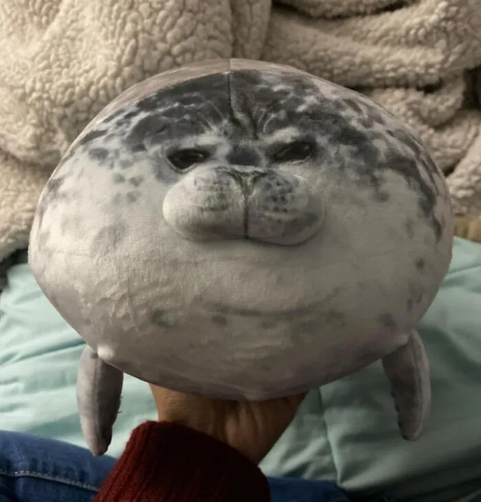 Who Needs A Weighted Blanket When You Have A <a Style="Display:inline;" Href="Https://Www.amazon.com/Merryxd-Chubby-Pillow-Stuffed-Cotton/Dp/B082413mwq?pd_rd_w=brycd&content-ID=amzn1.sym.0933bde2-7eaf-46ed-8354-2db47cb87d5a&pf_rd_p=0933bde2-7eaf-46ed-8354-2db47cb87d5a&pf_rd_r=2h3wgxhkjdewxbhkwq57&pd_rd_wg=vfe4q&pd_rd_r=64462901-Ad6f-44d3-8591-933f66f41b17&pd_rd_i=b082413mwq&th=1&linkcode=ll1&tag=bpraccoon-20&linkid=bc4ee34fb1b5c7028718a841edf27b44&language=en_us&ref_=as_li_ss_tl" Target="_blank"><span Style="Font: Inherit; Color: #d74b1f;"> Chubby Seal Pillow </Span> Ready For Hibernation Season?