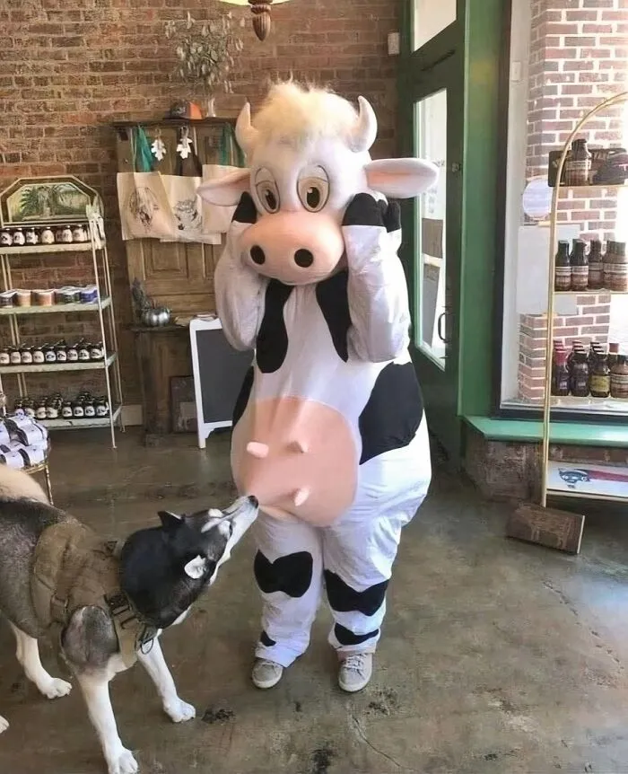 50 Animal Pics That Are Too Good Not To Share