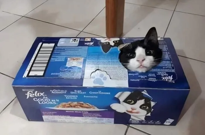 50 Animal Pics That Are Too Good Not To Share