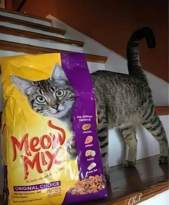 50 Animal Pics That Are Too Good Not To Share