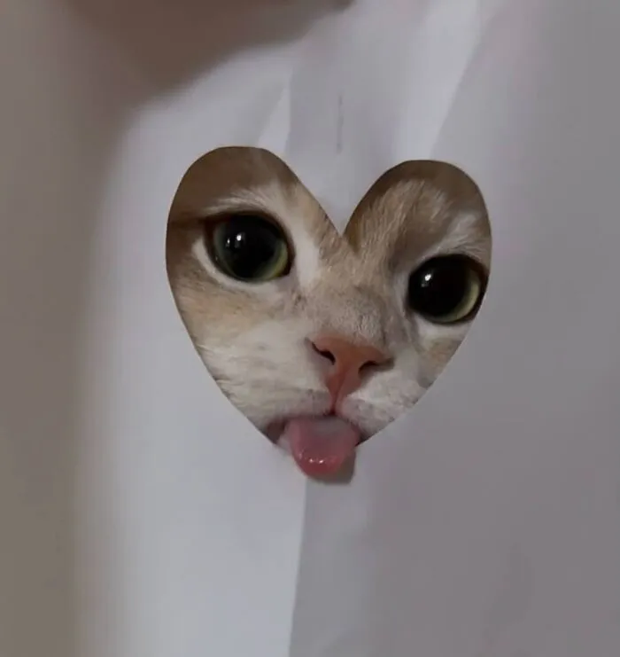 50 Animal Pics That Are Too Good Not To Share