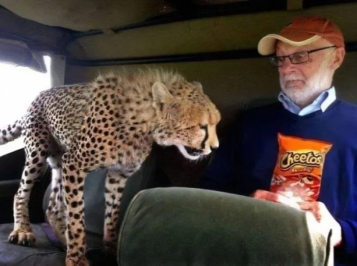 50 Animal Pics That Are Too Good Not To Share