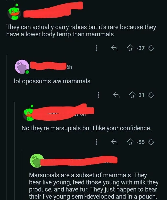 Silly Marsupial