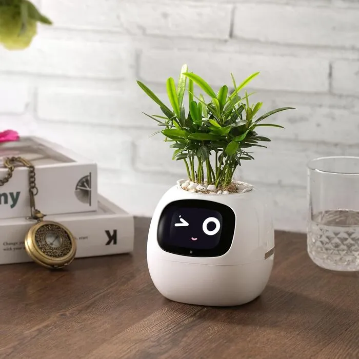 Keep Your Plant Babies Thriving Even If You Have The Opposite Of A Green Thumb With A Helpful <a Style="Display:inline;" Href="Https://Www.amazon.com/Dp/B0c8fklpmw?ascsubtag=7830000%2c22%2c30%2cd%2c0%2c0%2c0%2c1396%3a1%3b900%3a2%3b974%3a1%3b1338%3a1%2c58746419%2c0%2c0%2cgoogle&btn_ref=srctok-D4af4855dde6b545&th=1&linkcode=ll1&tag=bpstarfish-20&linkid=ed8fd6bc317cdb5fcfb044f4f3a1f28a&language=en_us&ref_=as_li_ss_tl" Target="_blank"><span Style="Font: Inherit; Color: #d74b1f;"> Smart Pet Planter </Span>