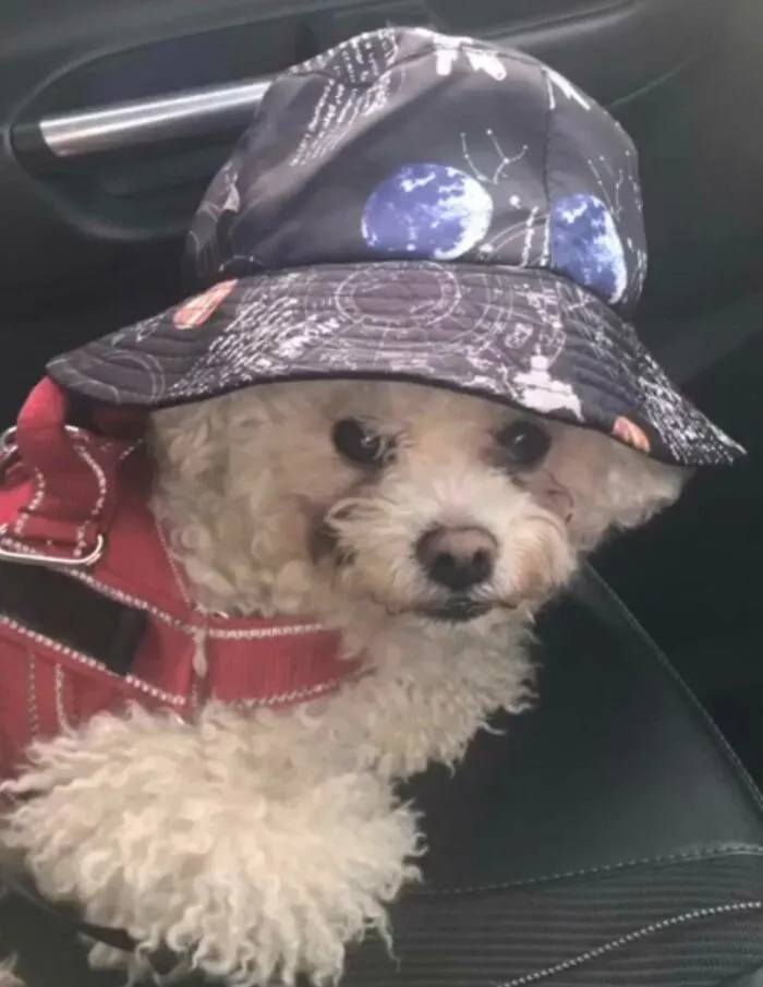 Bucket Hat