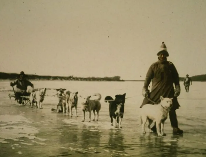 Goldi Men With Dog Sled On Amur River, 1895 November