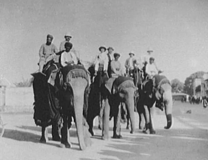 World Transportation Commission) Members On The Nizam's Elephants, 1895