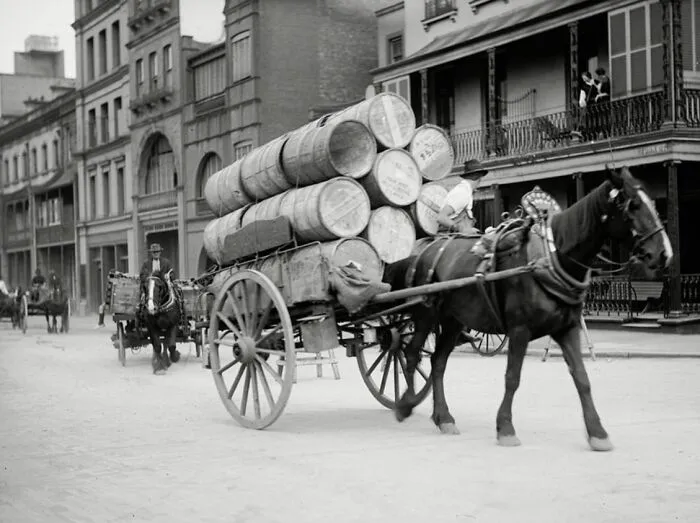 Horsedrawn Vehicles, 1898 - 1926