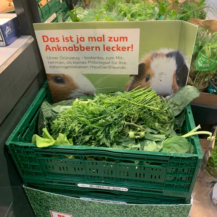Hojas de verduras gratis para mascotas en la sección de frutas y verduras de mi supermercado local