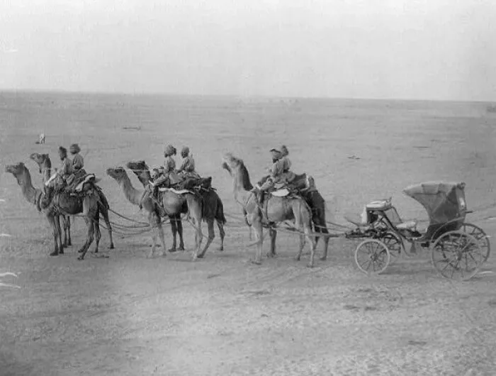 Camel Drawn Carriage, India, Between 1890 And 1923